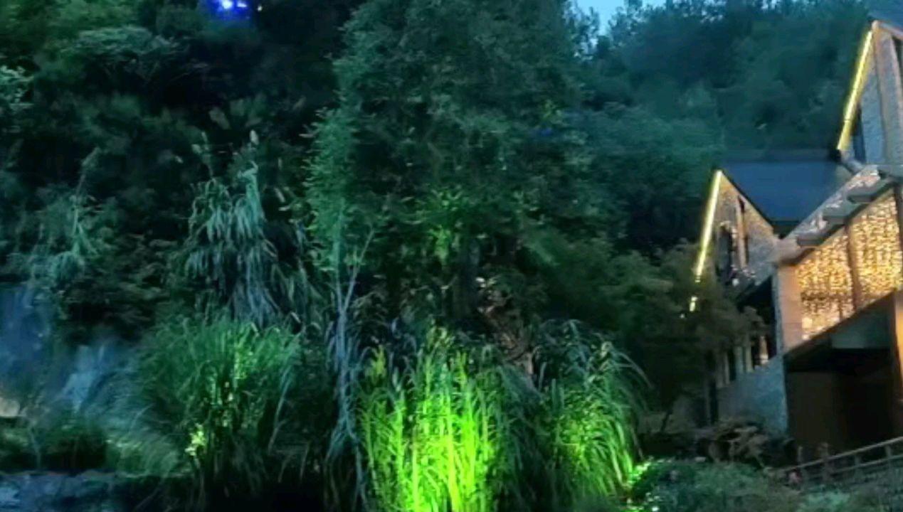 网名叫水草好听吗-最佳问答类网站